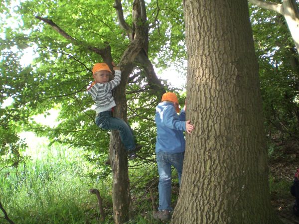 waldwochen2011