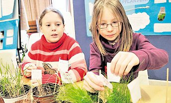 schueler_experimentieren2012a