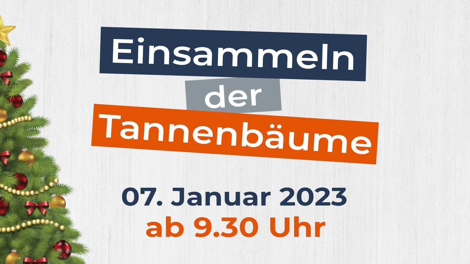 Einsammeln der Tannenbäume