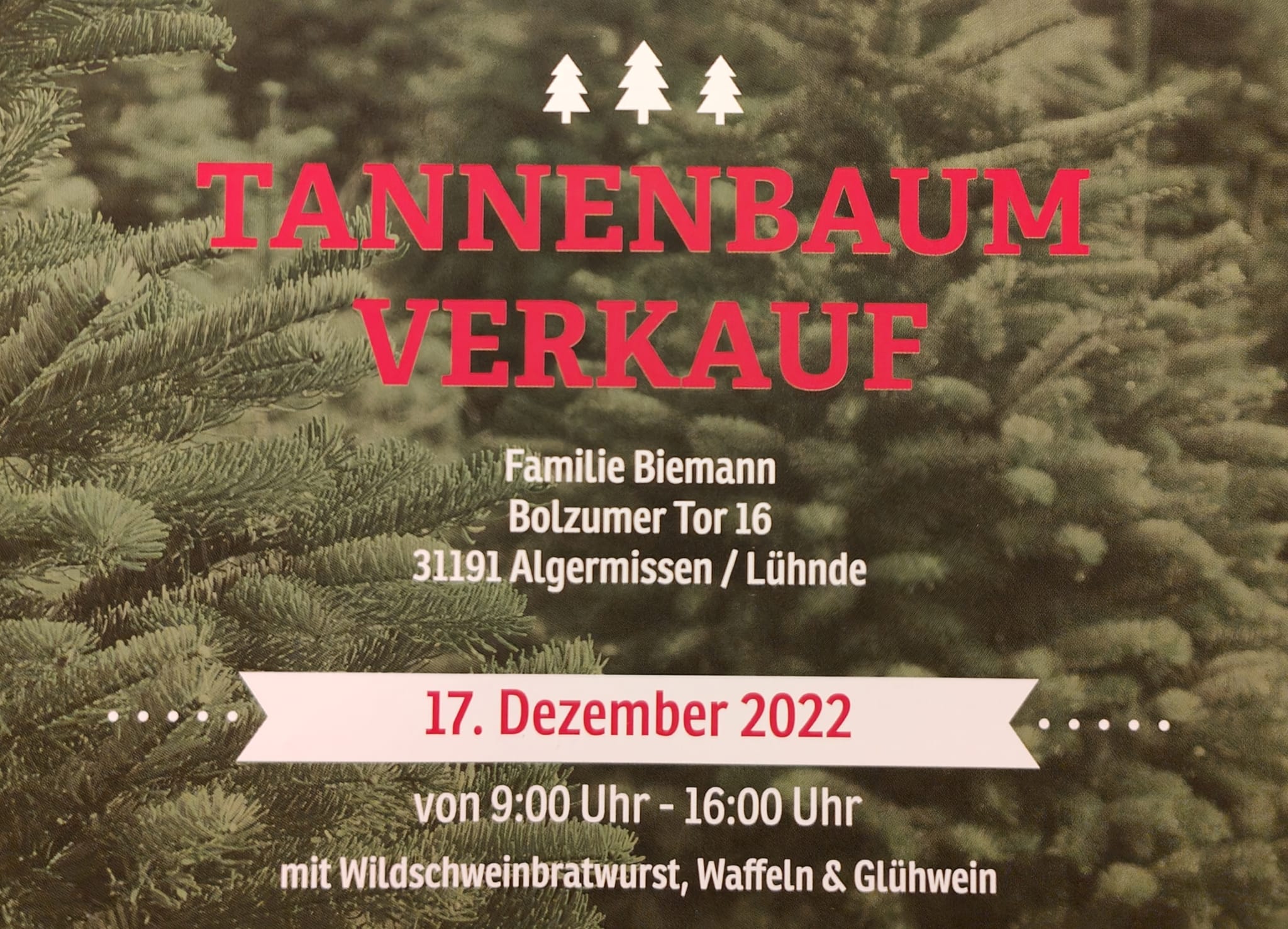 Weihnachtsbaumverkauf in Lühnde