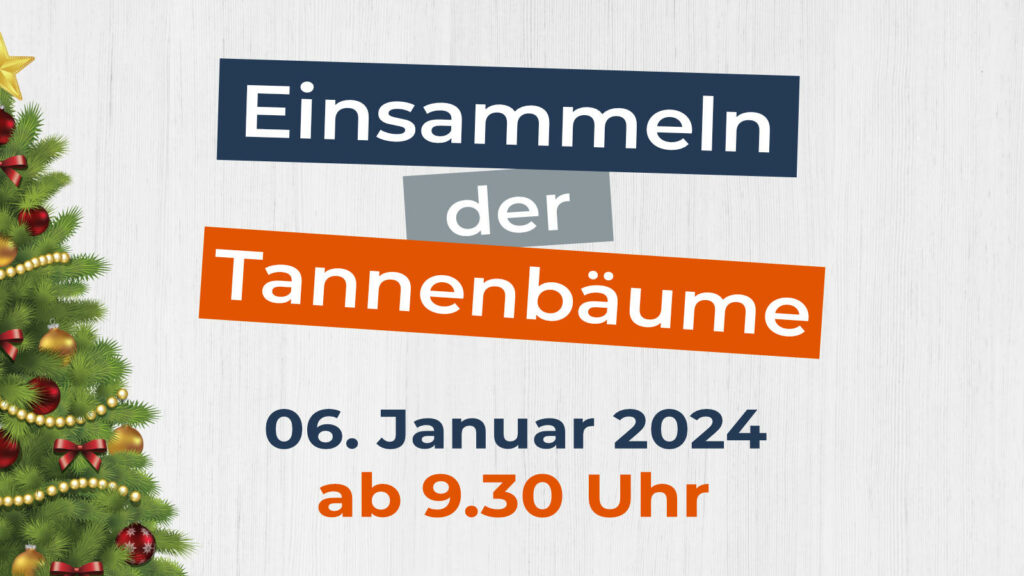 Einsammeln der Tannenbäume 2024